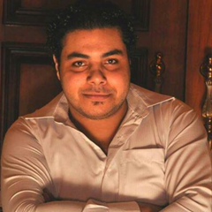 Mohamed EL-medany, Mansoura