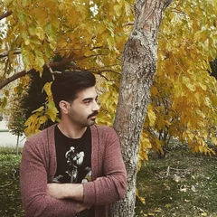 Hamid Asadi, 35 лет