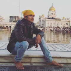 Himanshu Goyal, 25 лет, Jaipur