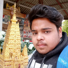 Sarang Pathak, 26 лет, Bodh Gaya