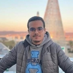 Mohammed Boujellab, 19 лет