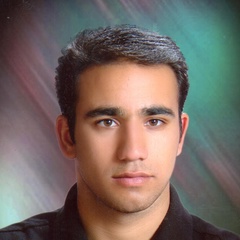 Mahdi Khoshkalam, 34 года, Yazd