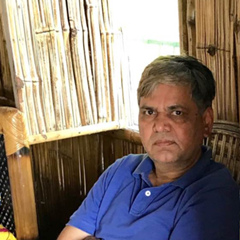 Ram Prasad Meena, 59 лет, Delhi