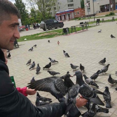 Vemir Karapetyan, 39 лет