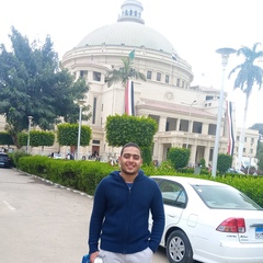 Abdo Ahmed, 24 года, Cairo