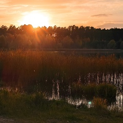 Алексей Слесарев