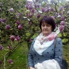 Nataliy Frindt, 66 лет, České Budějovice