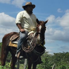 Luis Guerra, 27 лет, Campeche