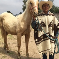 Emilio Resendiz, 22 года, Querétaro