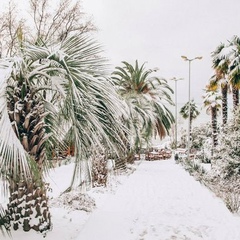 Сами По Себе Сами По Себе, Москва