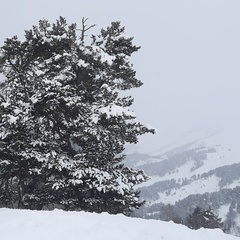 Анатолий Воробцов, Краснодар