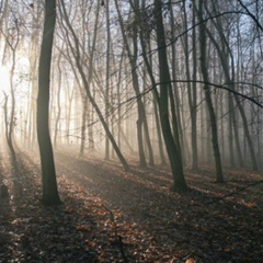 Елена Небайкина, Санкт-Петербург