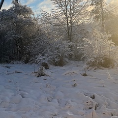 Наталья Степанова, Санкт-Петербург