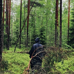 Леха Савкаев, 36 лет, Троицк