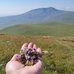 Вартуи Мноян