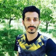 Mojtaba Rmz, 25 лет