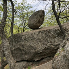 Cerber Guardian, Находка