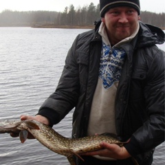 Алексей Еремеев, 38 лет, Можайск