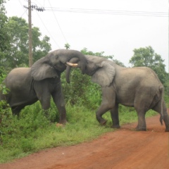 John Dapaa, Kumasi