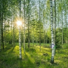 Лилия Шокова, Москва