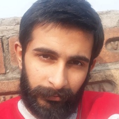 Anubhav Monga, 23 года