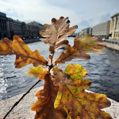 Юлия Филатова, Санкт-Петербург