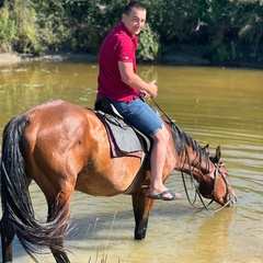 Алексей Сиюткин