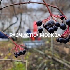 Евгений Смирнов, 36 лет, Москва