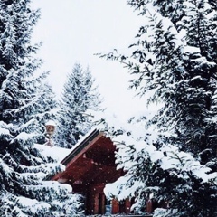 Альбина Журавлева, 41 год, Нижнекамск