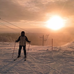 Александр Нилов, 41 год, Санкт-Петербург