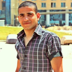 Mohamed Mido, 34 года, Cairo