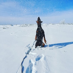 Viorika Lapina, 31 год, Прохладный