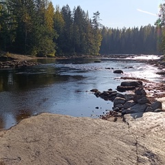 Вера Веселова, Санкт-Петербург