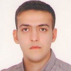 Mohammad Masoodi, 29 лет, Mashhad