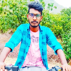 Praveen Apache, 27 лет, Chennai