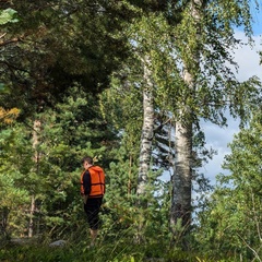 Александр Кошан, Санкт-Петербург