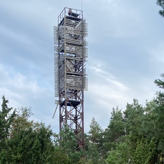 Mikados Belsky, Санкт-Петербург