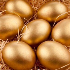 Gold Eggs, Севастополь