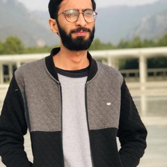 Arslan Zafar, 29 лет, Islamabad