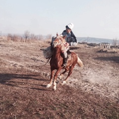 Данияр Дубеков