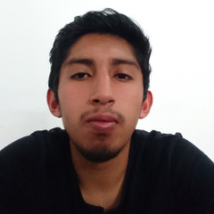 David Gallardo, 26 лет, Loja