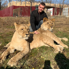 Андрей Андрей, 34 года, Солнечногорск