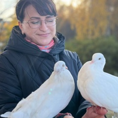 Анна Соколова, Петрозаводск