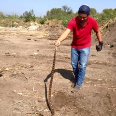 Antonio Zamora, 39 лет, Querétaro