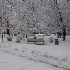 Александра Козорог, Павлоград