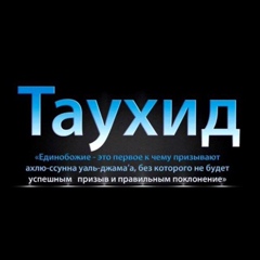 Тимур Мирзоев, Санкт-Петербург