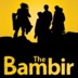 The Bambir, 14 лет, Ереван