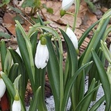 Людмила Зыкова, 75 лет, Красноярск