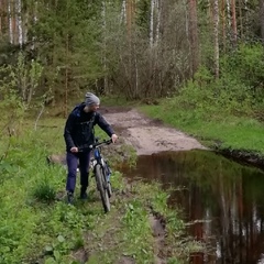 Максим Уклонский