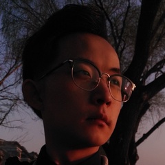 Chaofan Meng, 26 лет, Beijing